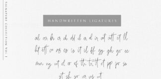 Beauty Signature - Handwritten Font Poster 1