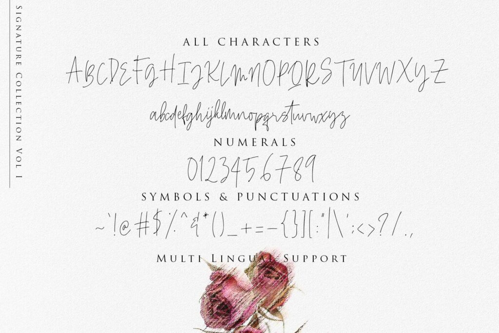 Beauty Signature - Handwritten Font Poster 10