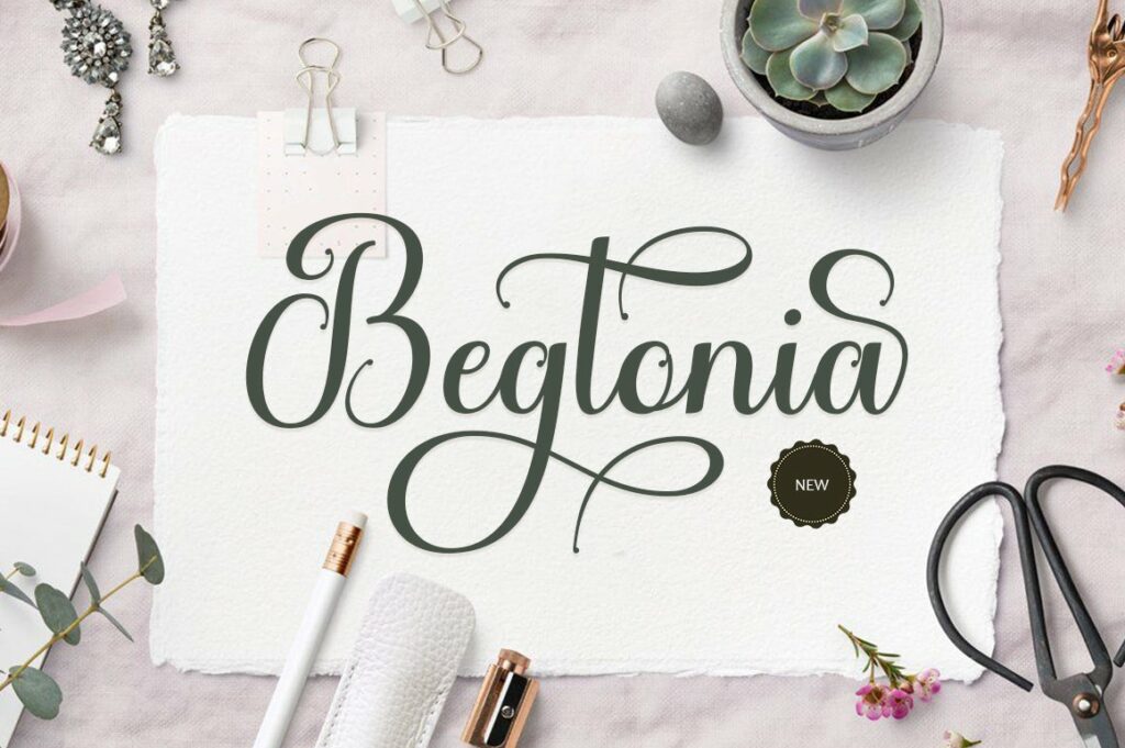 Begtonia Poster 9