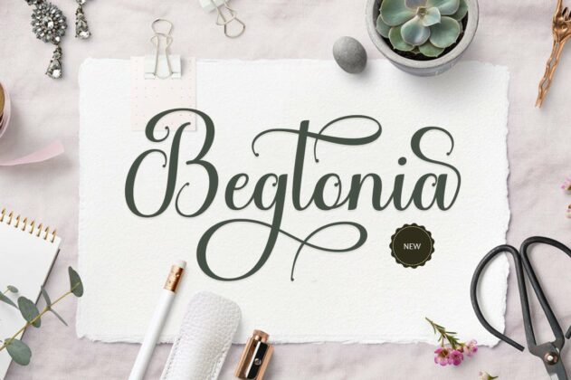 Begtonia Poster 9