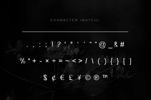 Bellie - A Handwritten Font Poster 2