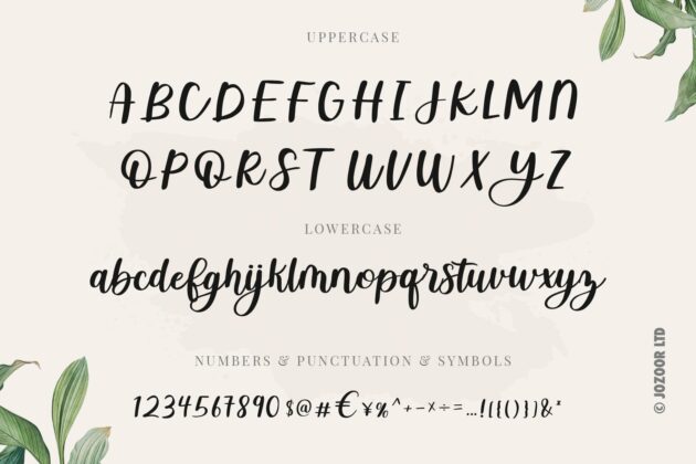 Bellony - Handwritten Script Font Poster 7