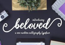 beloved script Poster 1