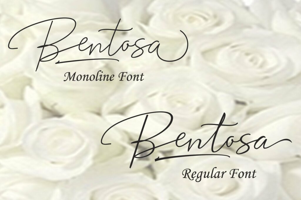 Bentosa Poster 4