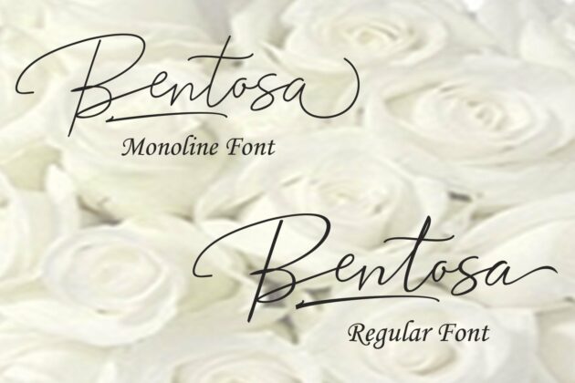 Bentosa Poster 4