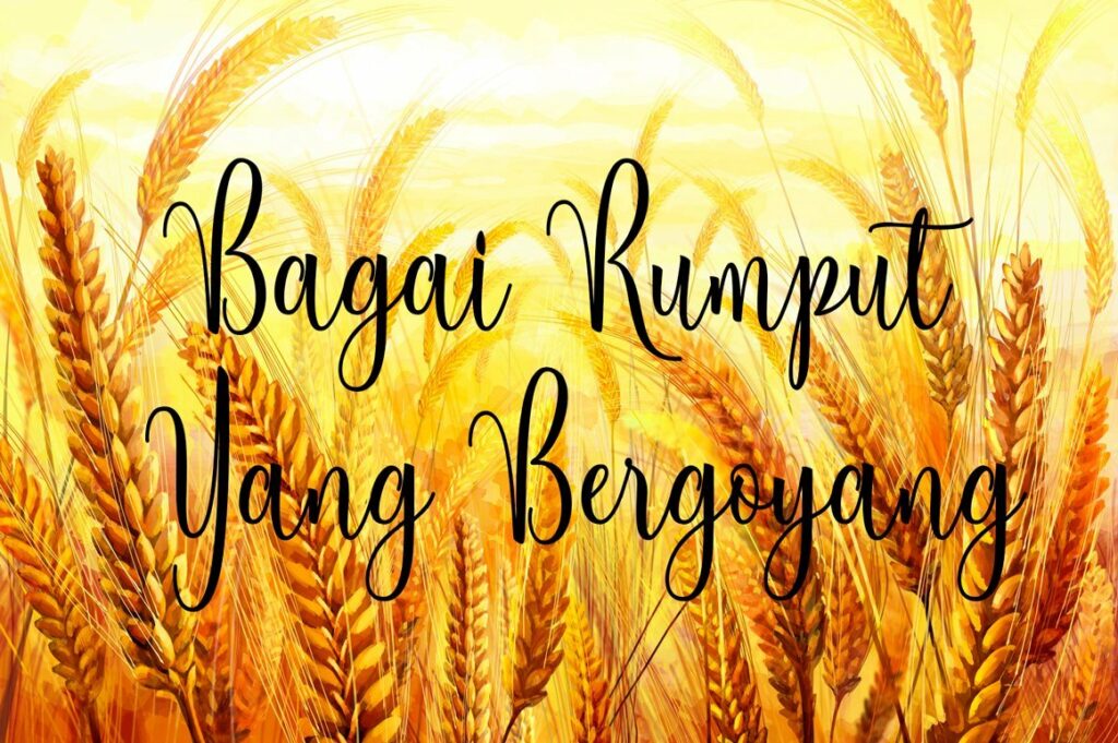 Berleyila Script Poster 6