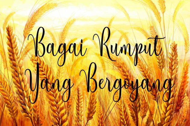 Berleyila Script Poster 6