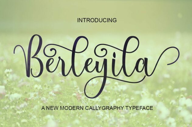 Berleyila Script Poster 9