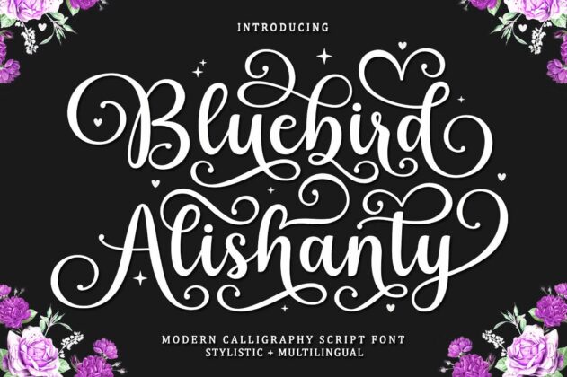 Best Script Bundle Collection Poster 6