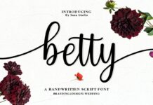 Best Script Font Bundle Poster 1