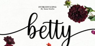 Best Script Font Bundle Poster 1