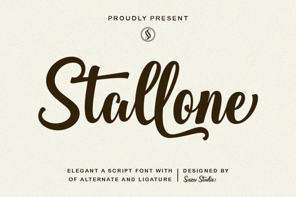 Best Script Font Bundle Poster 4