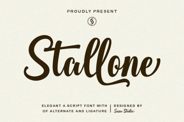 Best Script Font Bundle Poster 4