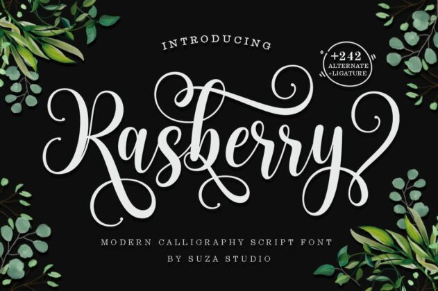 Best Script Font Bundle Poster 8