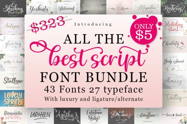 Best Script Font Bundle Poster 11