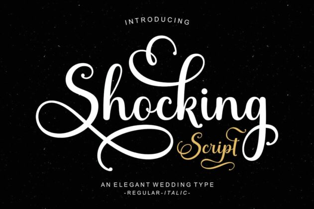Best Script Font Bundle Poster 12