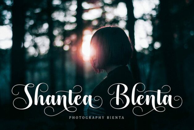 Best Specialist Script Font Poster 2