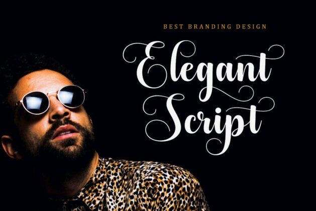 Best Specialist Script Font Poster 5