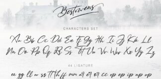 BESTOWENS FAMILY (10 Styles in 1 Typeface) Poster 1