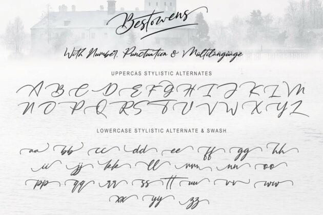 BESTOWENS FAMILY (10 Styles in 1 Typeface) Poster 10