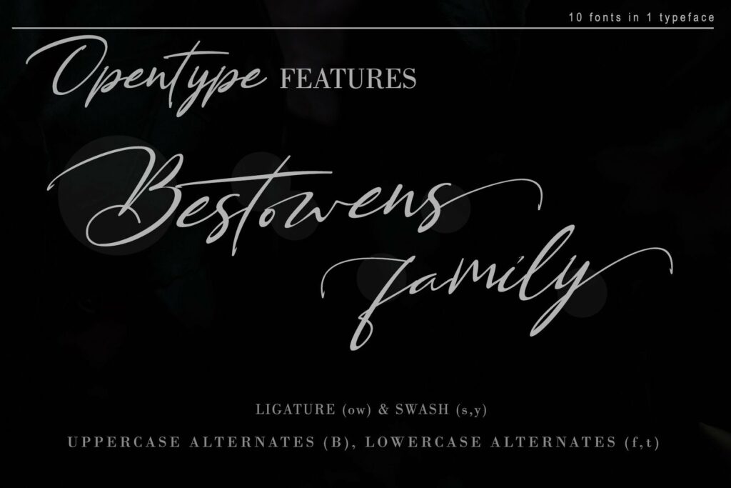 BESTOWENS FAMILY (10 Styles in 1 Typeface) Poster 12