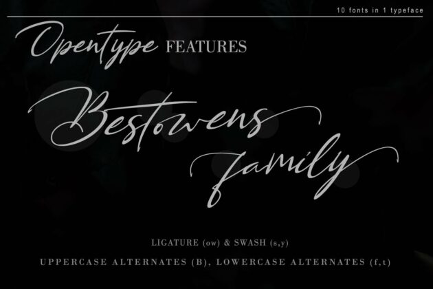 BESTOWENS FAMILY (10 Styles in 1 Typeface) Poster 12