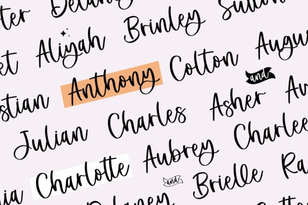 Bethny Charlie - Modern Script Font Poster 5