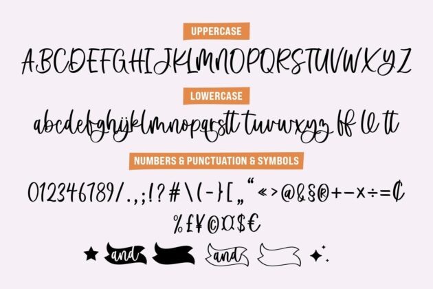 Bethny Charlie - Modern Script Font Poster 7