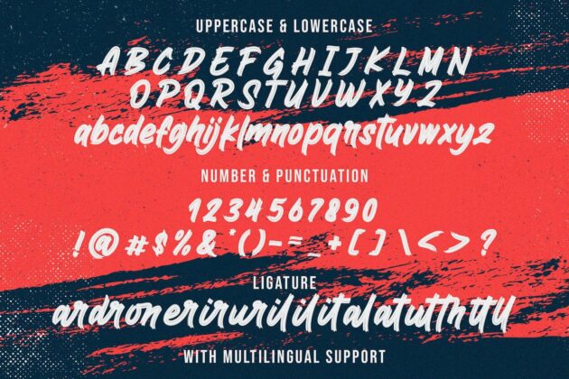 Bingo Reky - Textured Brush Font Poster 3