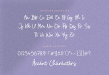 Birdhave Modern Monoline Handwritten Font Poster 1