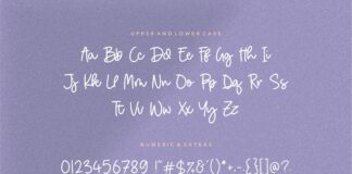 Birdhave Modern Monoline Handwritten Font Poster 1