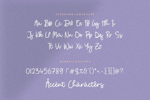 Birdhave Modern Monoline Handwritten Font Poster 1