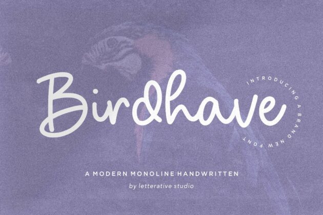 Birdhave Modern Monoline Handwritten Font Poster 6