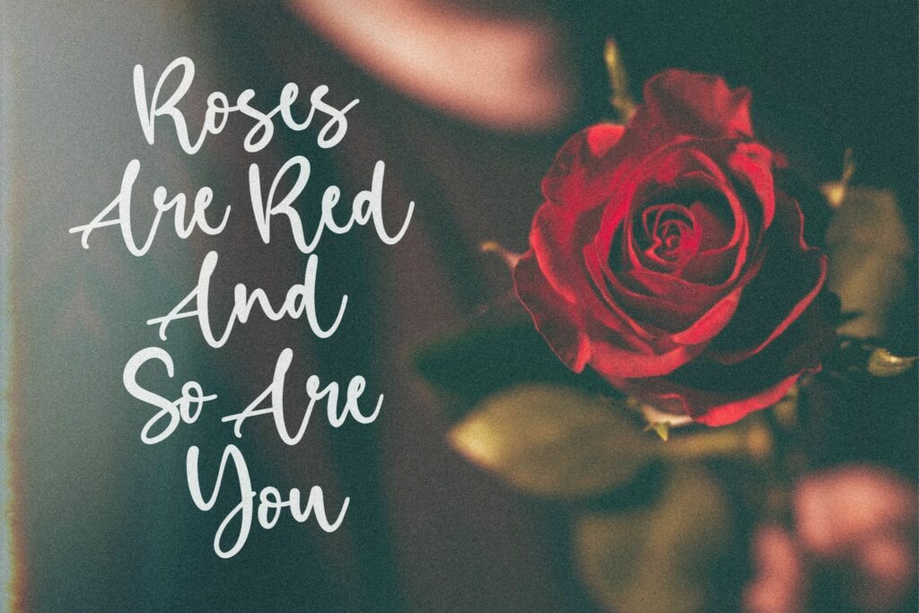 Birdlove Lovely Handwritten Font Poster 1