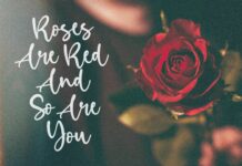 Birdlove Lovely Handwritten Font Poster 1