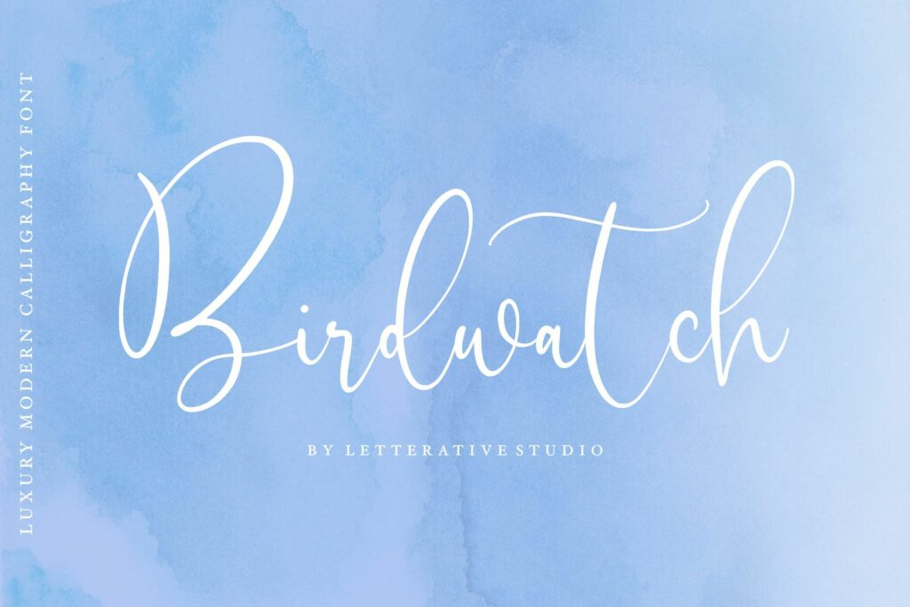 Birdwatch Luxury Modern Calligraphy Font Poster 4