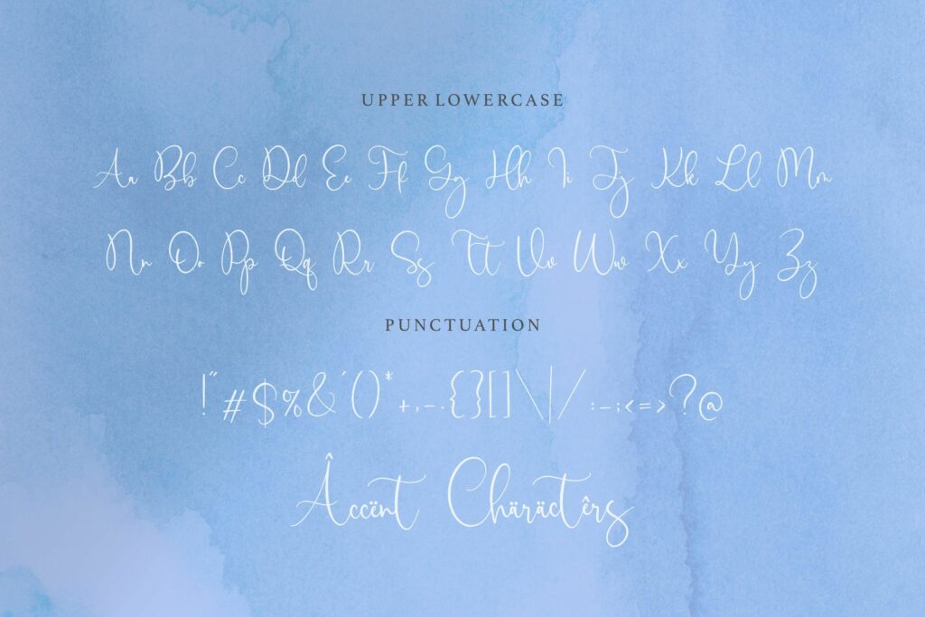 Birdwatch Luxury Modern Calligraphy Font Poster 6