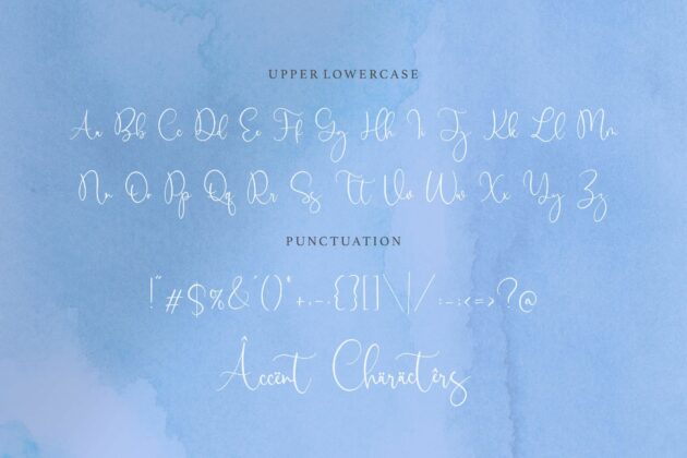 Birdwatch Luxury Modern Calligraphy Font Poster 6
