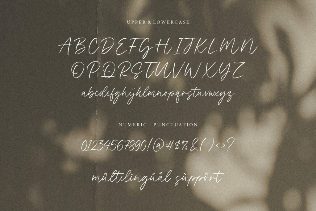 Black Forest Modern Handwritten Font Poster 2