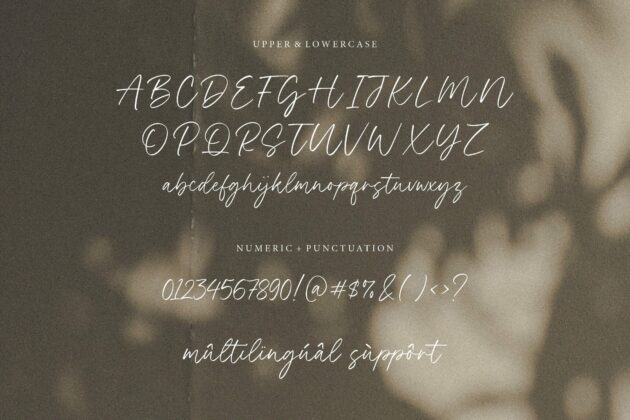 Black Forest Modern Handwritten Font Poster 2