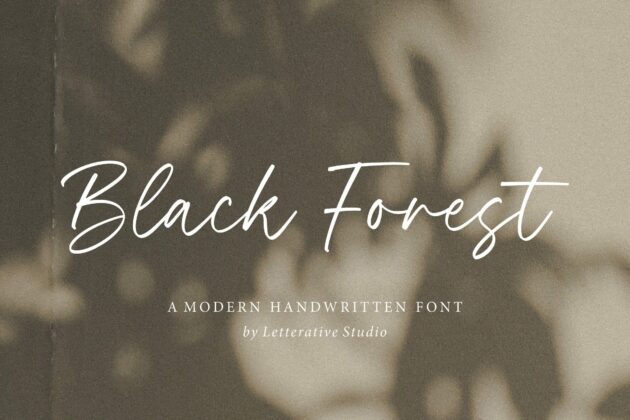 Black Forest Modern Handwritten Font Poster 4