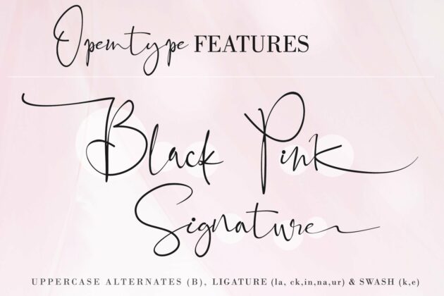 Black Pink Signature Poster 9