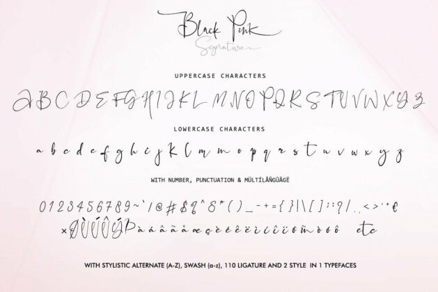 Black Pink Signature Poster 11