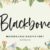 Blackbone Modern Calligraphy Font