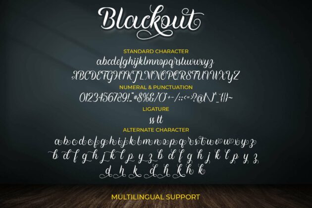 Blackout Poster 8
