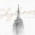 Blackswan Monoline Signature Font