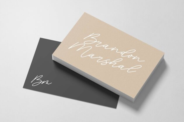 Blackswan Monoline Signature Font Poster 2