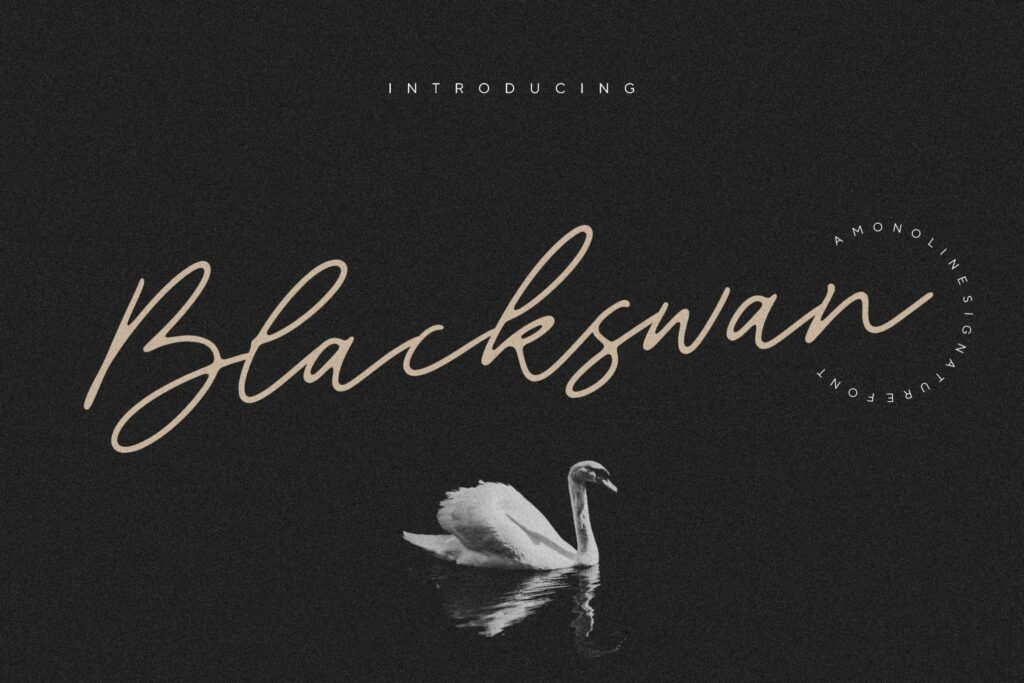 Blackswan Monoline Signature Font Poster 3