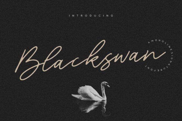 Blackswan Monoline Signature Font Poster 3