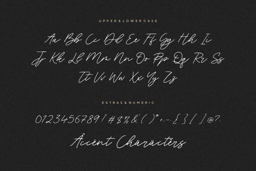 Blackswan Monoline Signature Font Poster 6